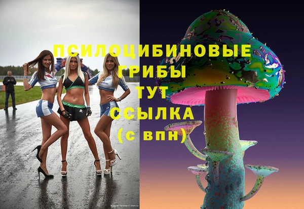 прущая мука Алзамай
