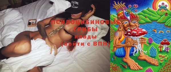 прущая мука Алзамай