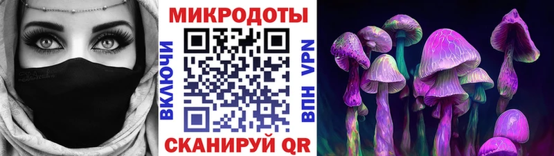 Псилоцибиновые грибы Psilocybe  KRAKEN вход  Алексеевка 