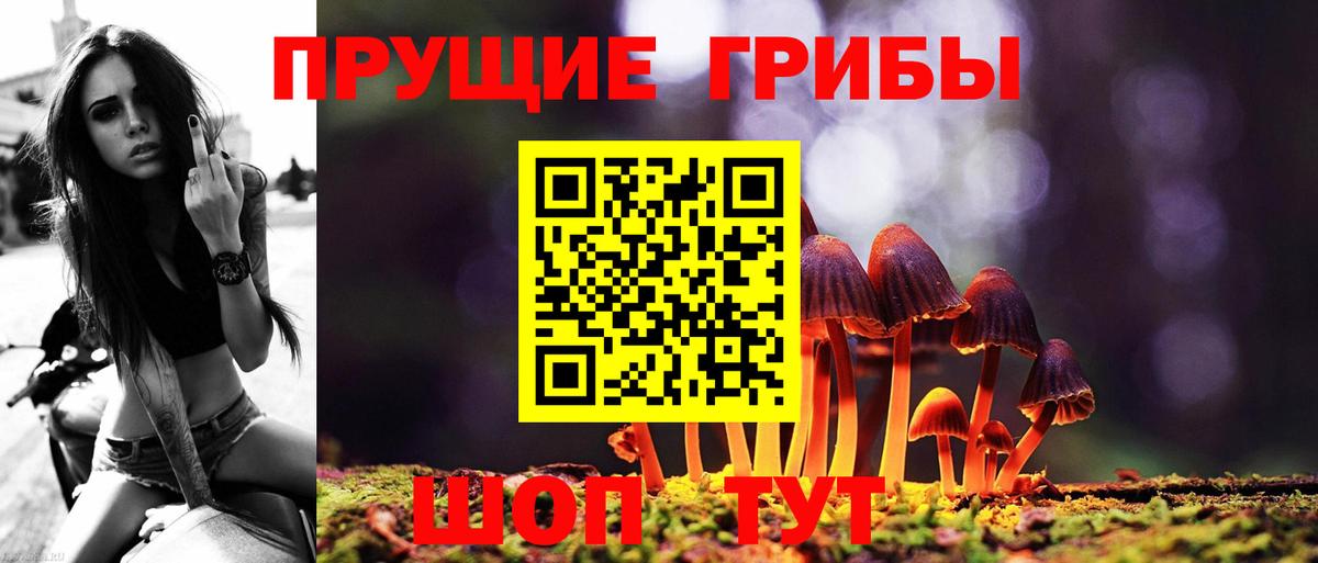Алексеевка  Галлюциногенные грибы MAGIC MUSHROOMS  Псилоцибиновые грибы ЛСД  Вход с VPN 