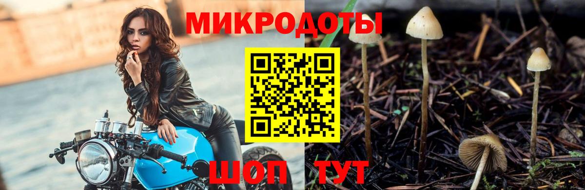 Галлюциногенные грибы ЛСД Алексеевка