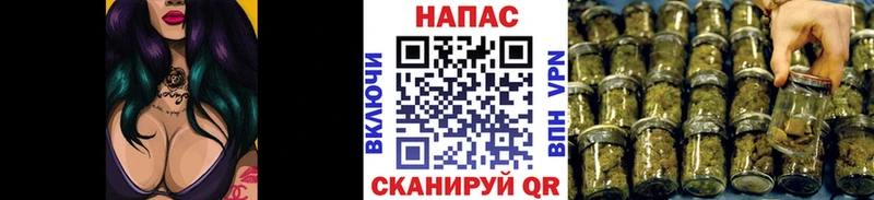 закладки  Алексеевка  Бошки марихуана Ganja 